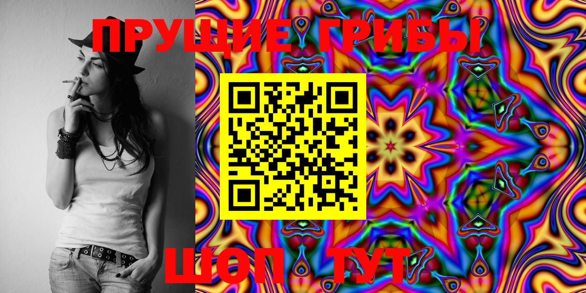 Псилоцибиновые грибы Cubensis Качканар