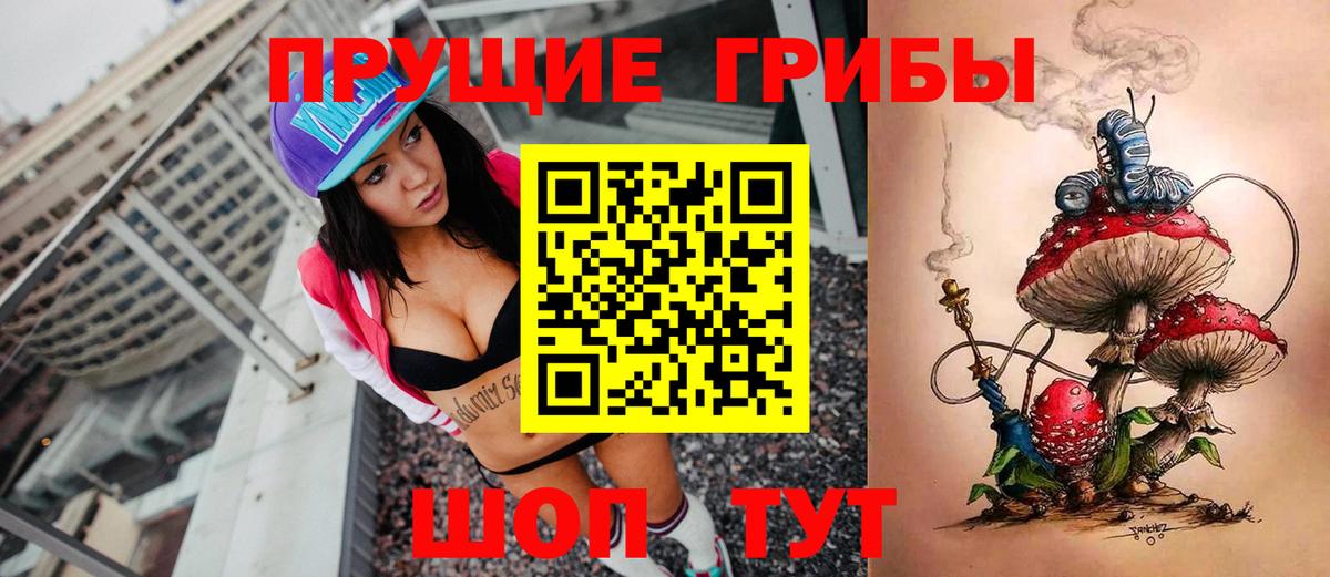 Галлюциногенные грибы Psilocybine cubensis  Псилоцибиновые грибы GOLDEN TEACHER  Качканар  Вход с VPN 